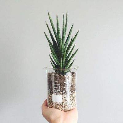 陆毅女儿的长腿太惊人,在上百人中一眼就能认出来