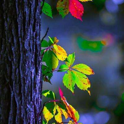 和利时受邀出席2026四川省自动化...